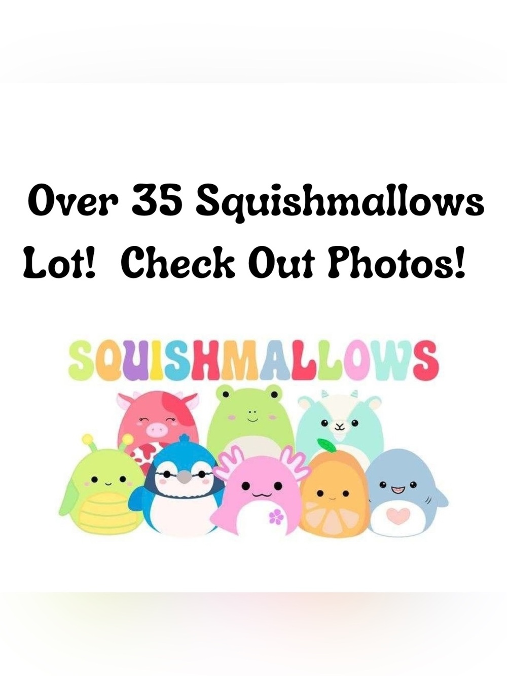 Over 35 Squishmallows Lot! Check Out Photos!